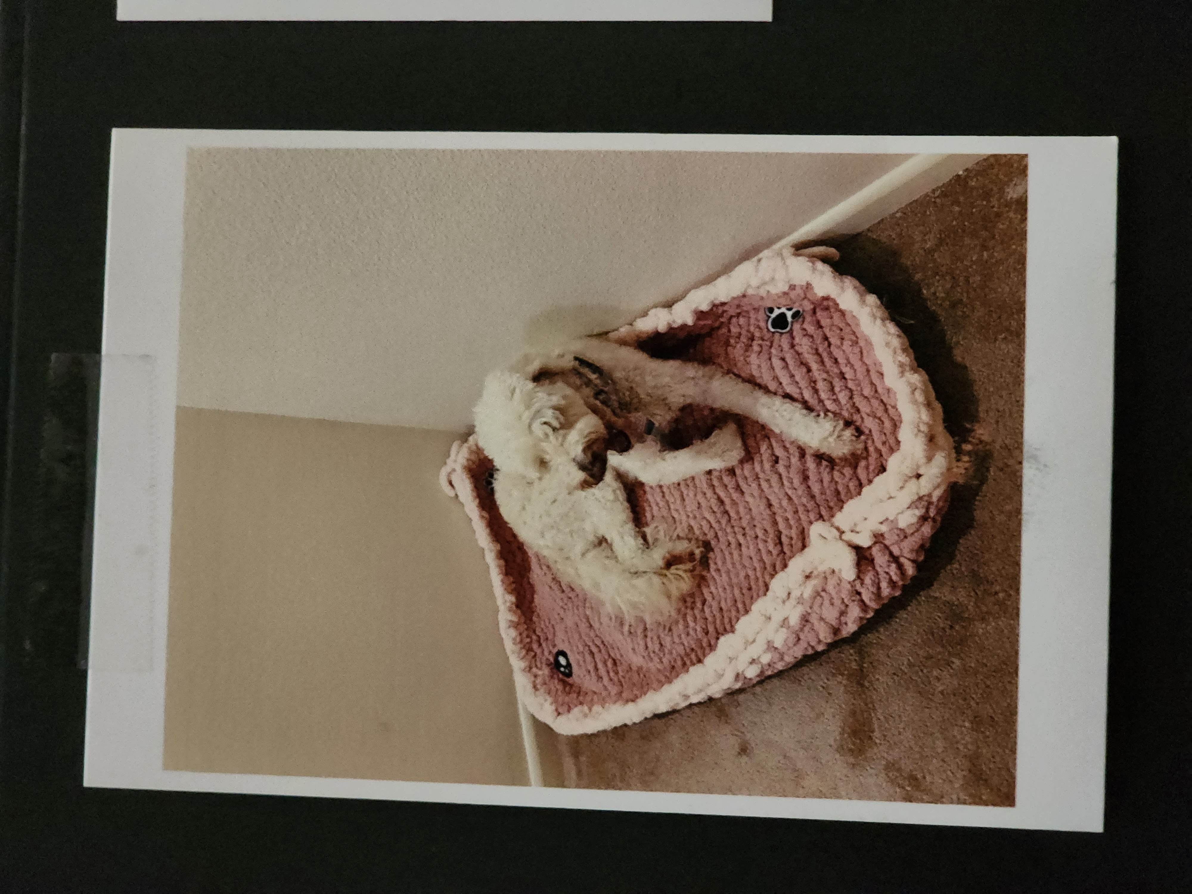 JB Innovations craft photo